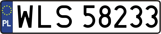 WLS58233