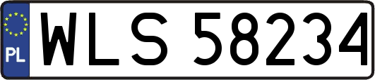 WLS58234