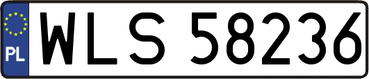 WLS58236
