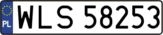 WLS58253