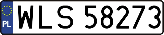 WLS58273
