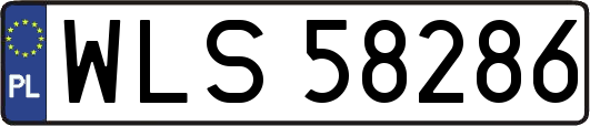 WLS58286