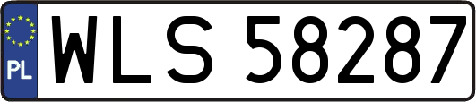WLS58287