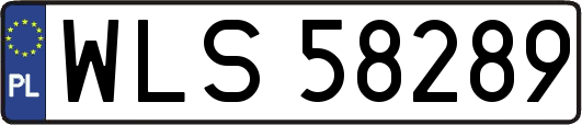 WLS58289