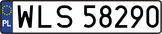 WLS58290