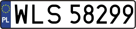 WLS58299