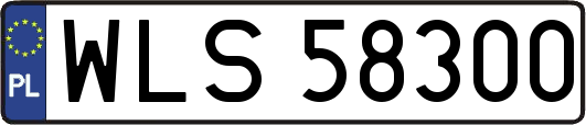WLS58300