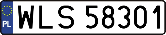 WLS58301