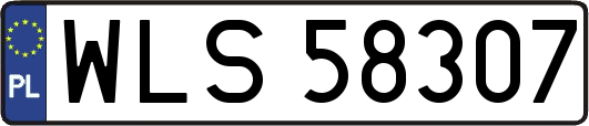 WLS58307