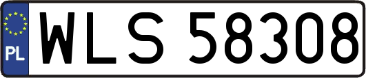 WLS58308