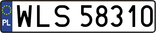 WLS58310