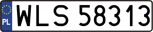 WLS58313