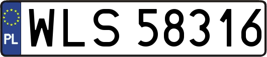 WLS58316