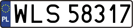WLS58317