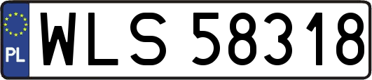 WLS58318