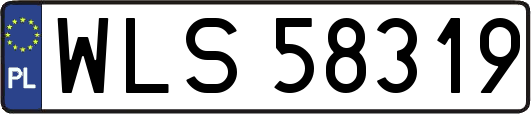 WLS58319