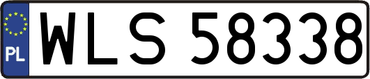 WLS58338