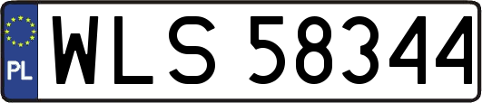 WLS58344