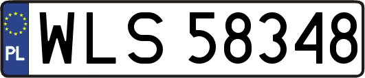 WLS58348