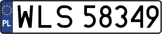 WLS58349
