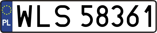 WLS58361