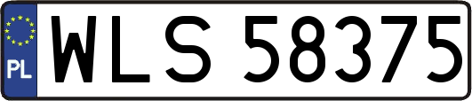 WLS58375