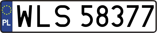 WLS58377