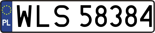 WLS58384