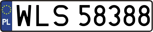WLS58388