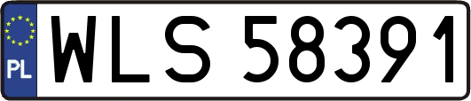 WLS58391