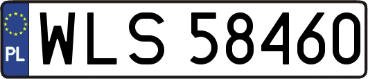 WLS58460