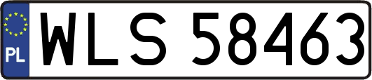 WLS58463