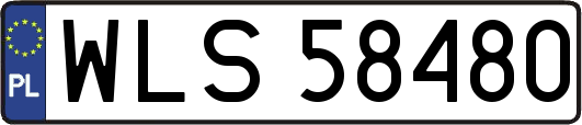 WLS58480