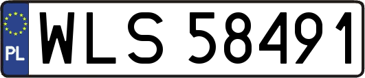 WLS58491