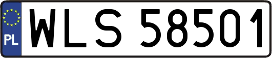 WLS58501