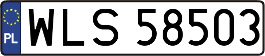 WLS58503