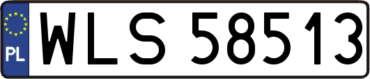 WLS58513