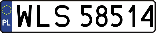 WLS58514