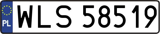 WLS58519