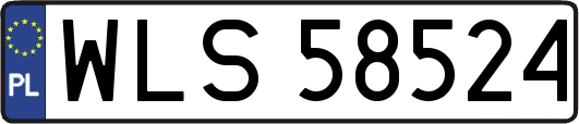 WLS58524