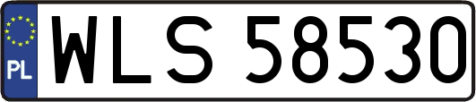 WLS58530