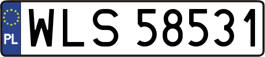 WLS58531