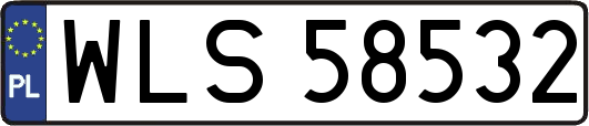 WLS58532