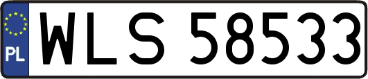 WLS58533