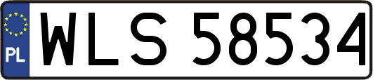 WLS58534