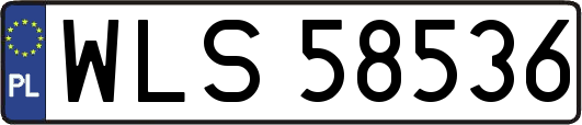 WLS58536