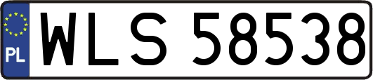WLS58538
