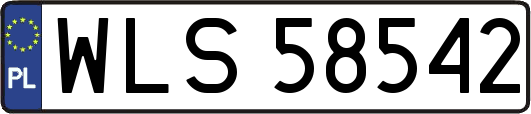 WLS58542
