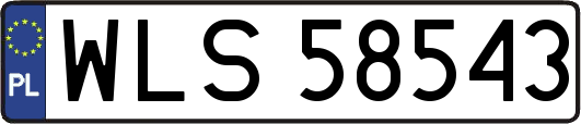 WLS58543
