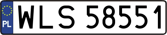 WLS58551